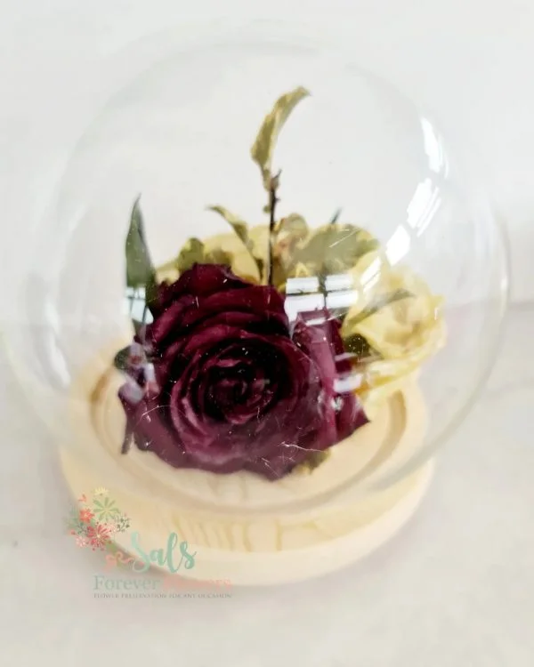 Preserved Flower Keepsake Globe/Bell Jar - Image 2
