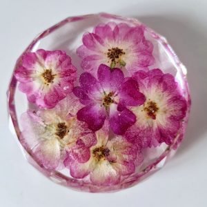 faceted edge clear resin flower preservation paperweight